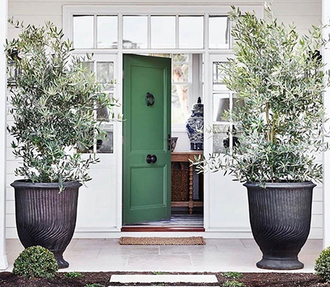 Contact Us English Pot Plant Company Image 1