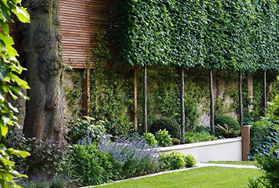 Landscaping Images
